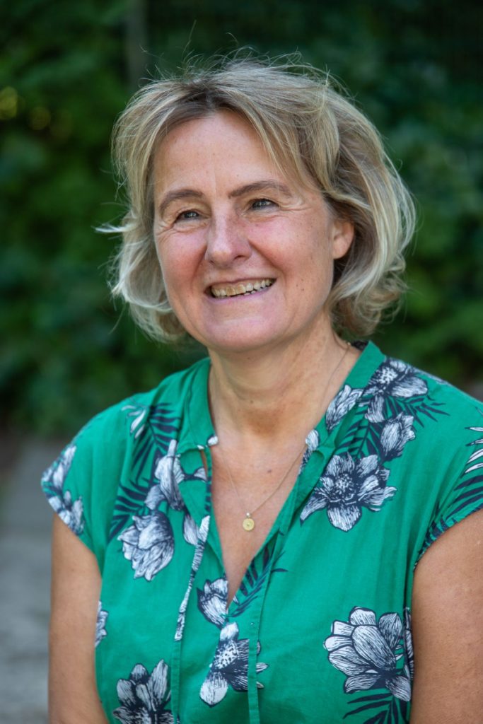 P. Holzhauer