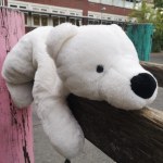 Eisbär 2022-09-25 14_22_34