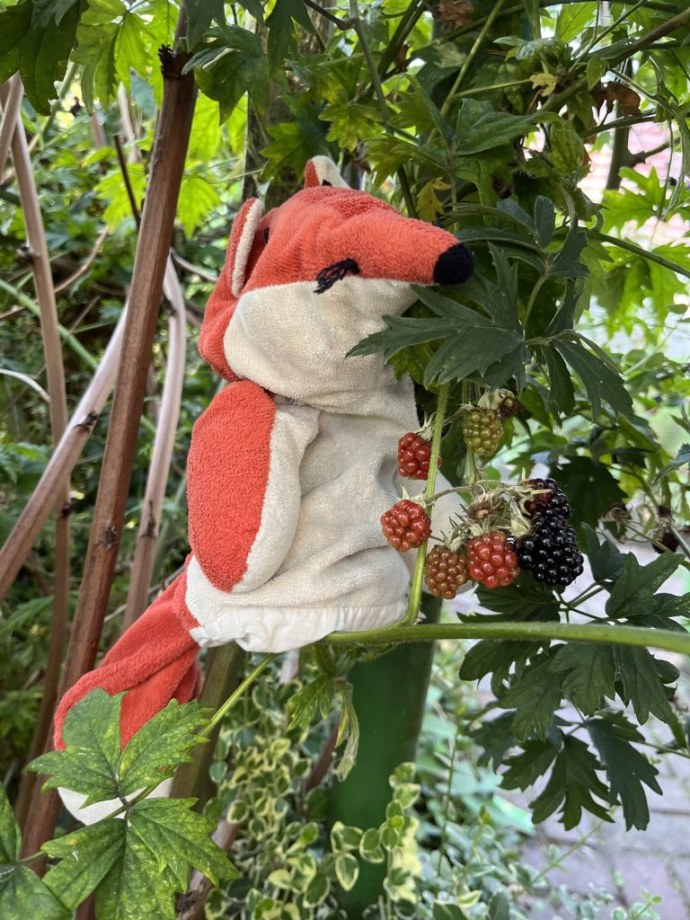 Fuchs Fido DietrichBonhoefferSchule Bochum